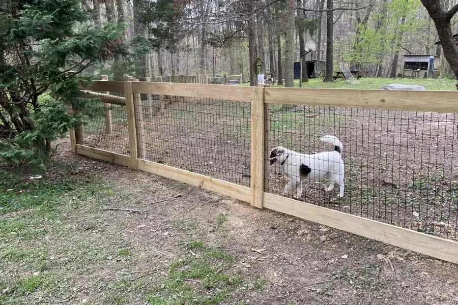 Wood and wire dog fence
